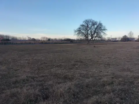 Finca rústica en Villamuriel de Cerrato